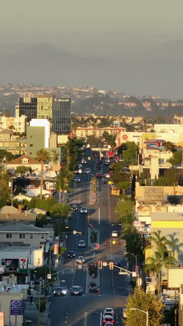 Low aerial view of the downtown streets, palm trees and homes in North Park.