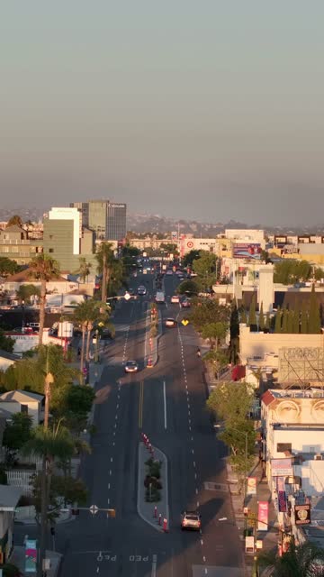 Low aerial view of the downtown streets, palm trees and the buildings in North Park.