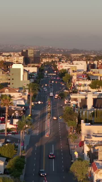 Low aerial view of the downtown streets, palm trees and the buildings in North Park.