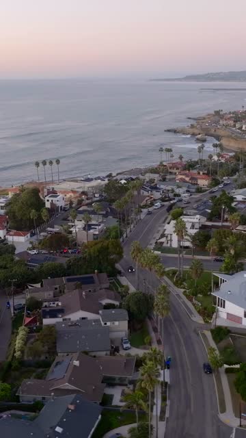Aerial view of a residential street, palm trees and the ocean at Sunset Cliffs.