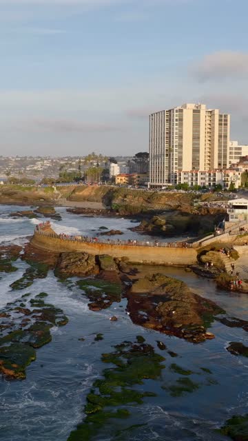 Aerial view of the cliffs, palm trees and the ocean at La Jolla Cove, with a crowd gathered.