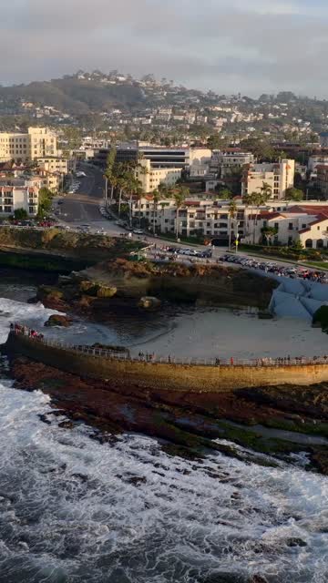 Aerial view of the beach, palm trees and the ocean at La Jolla Cove, with a crowd gathered.