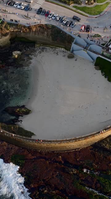 Aerial view of the beach, the ocean and the cliffs at La Jolla Cove, with a crowd gathered.