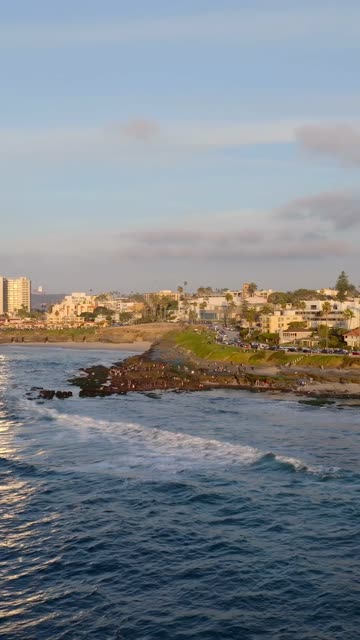 Low aerial view of the beach, the surf and palm trees at La Jolla Cove, with a crowd gathered.