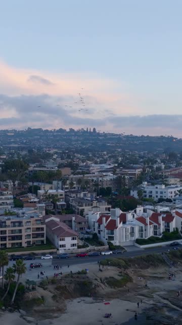 Aerial view of a residential street, wildlife and palm trees at La Jolla Cove, with people walking.