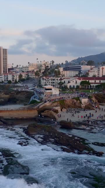 Aerial view of the beach, the surf and palm trees at La Jolla Cove, with a crowd gathered.