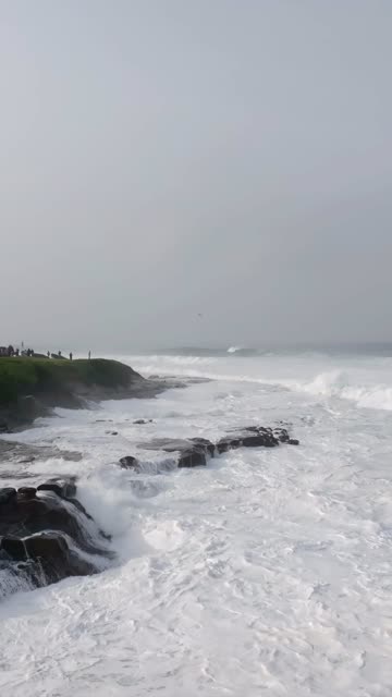 The cliffs, the surf and the ocean at La Jolla Cove.