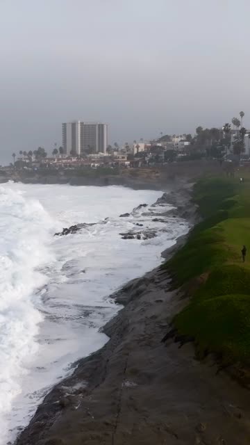 Low aerial view of the cliffs, the surf and palm trees at La Jolla Cove, with people walking.
