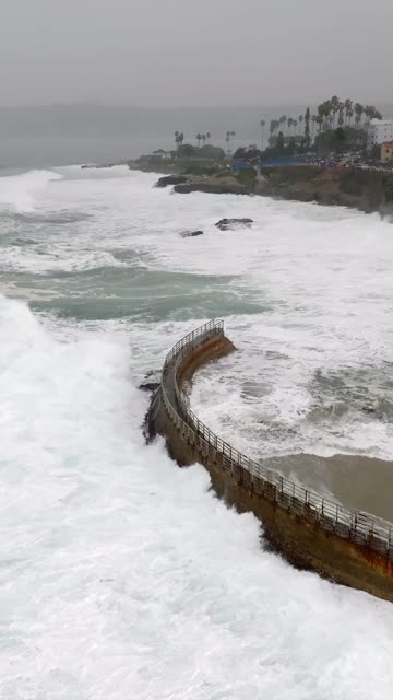 Aerial view of the cliffs, the surf and palm trees at La Jolla Cove.