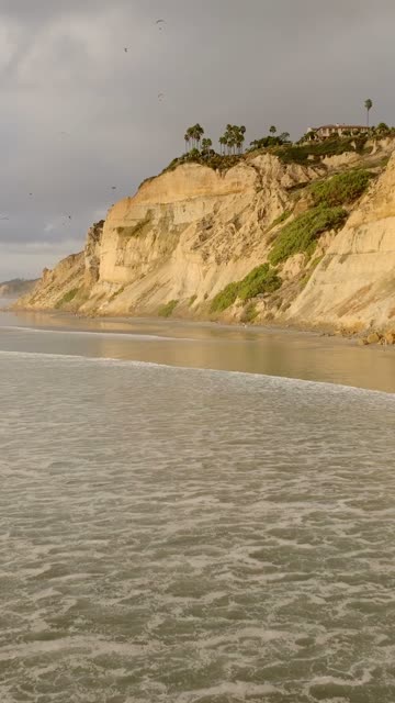 Low aerial view of the cliffs, the surf and palm trees at Black’s Beach.
