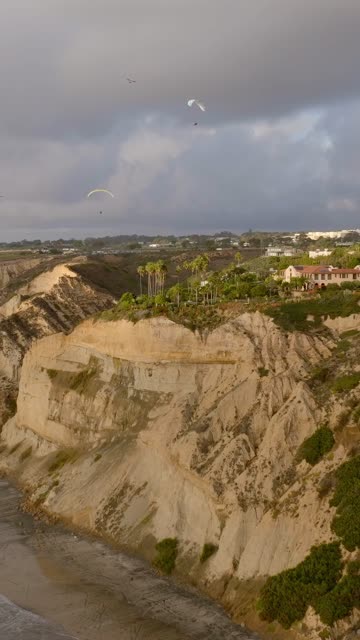 Aerial view of the cliffs, palm trees and homes at Black’s Beach.