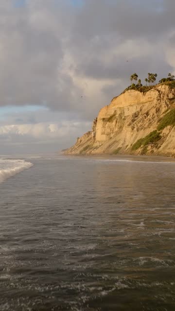 Low aerial view of the cliffs, the surf and palm trees at Black’s Beach.