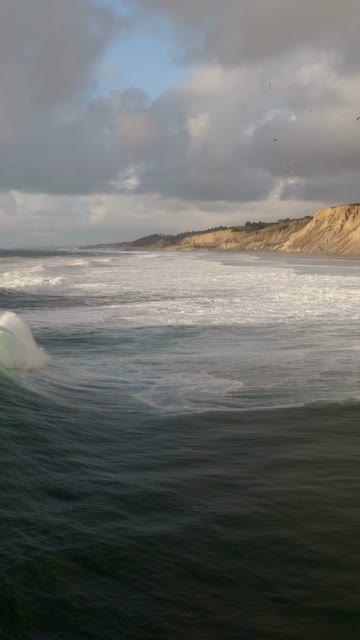 Low aerial view of the beach, the surf and wildlife at Black’s Beach.