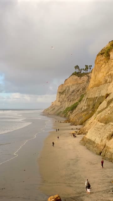 Elevated view of the beach, the surf and palm trees at Black’s Beach, with people walking.