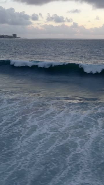 Low aerial view of the beach, the surf and the ocean at Black’s Beach.