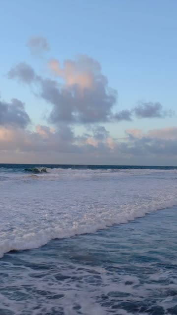 The beach, the surf and the ocean at Black’s Beach.
