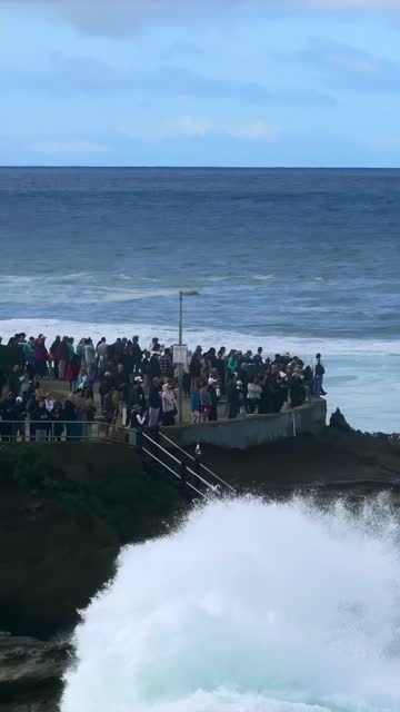 Vertical drone video of surfers surfing big surf during a powerful swell at La Jolla Cove in the Village of La Jolla San Diego California with massive waves and dramatic coastal cliffs