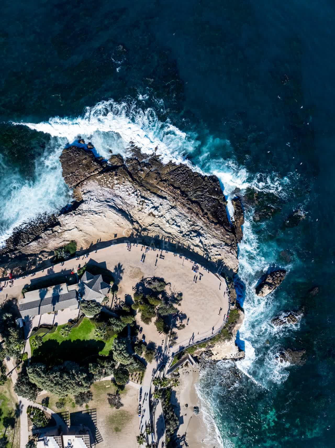 Aerial view of the beach, the surf and palm trees at La Jolla Cove, with people walking.