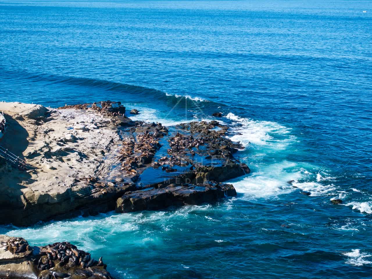 Aerial view of the cliffs, the surf and wildlife at La Jolla Cove.