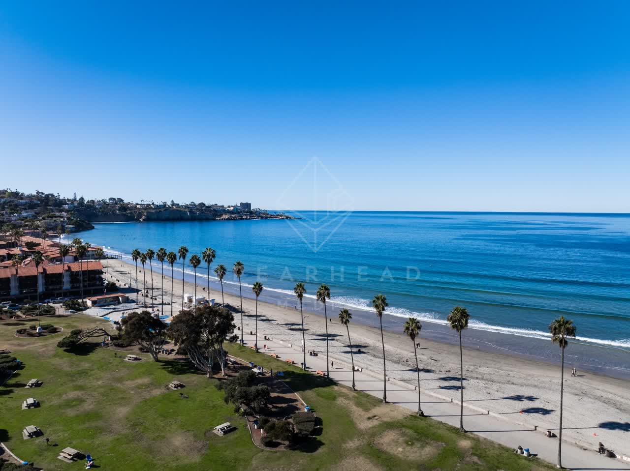Aerial view of the beach, palm trees and the ocean at La Jolla Shores, with people walking.