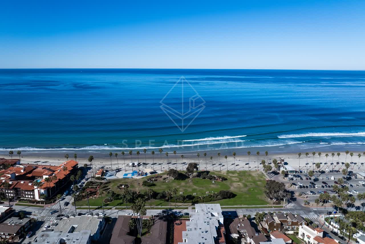 Aerial view of the beach, palm trees and the ocean at La Jolla Shores.