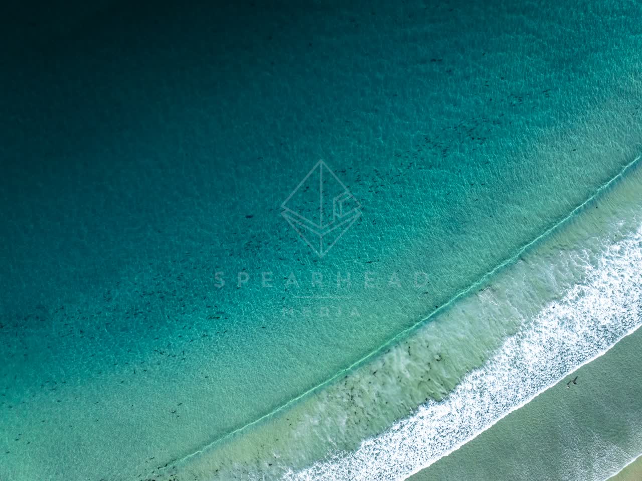 Aerial view of the beach, the surf and the ocean at La Jolla Shores.