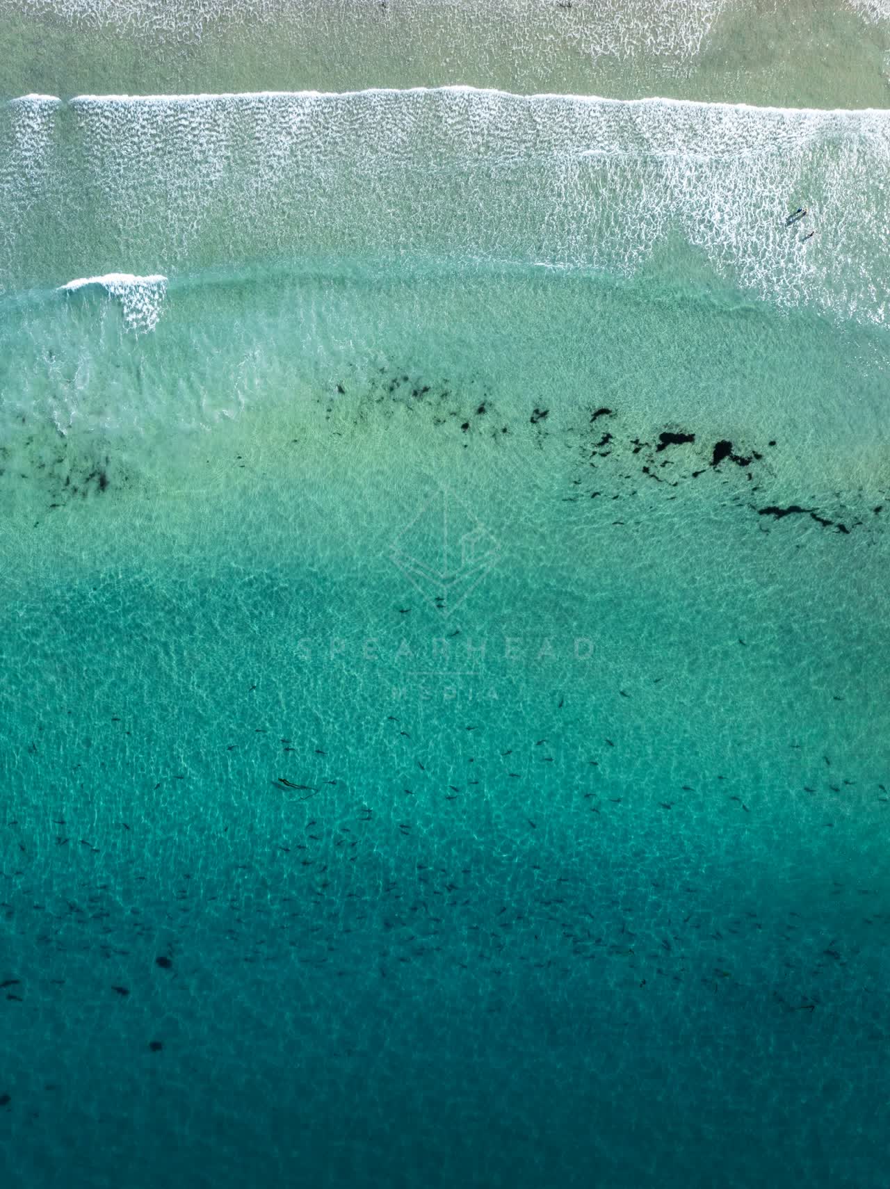 Aerial view of the beach, the surf and the ocean at La Jolla Shores.