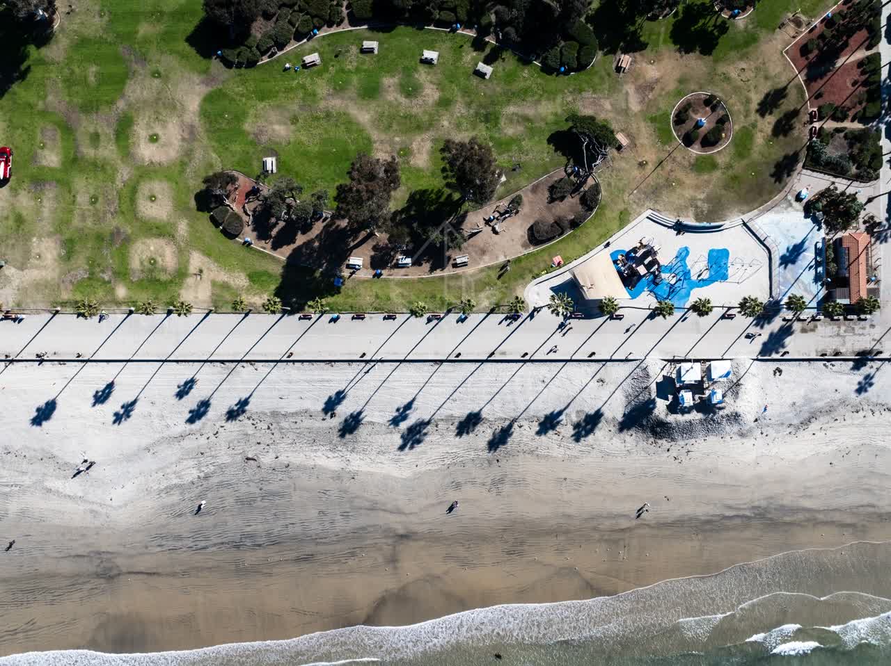 Aerial view of the beach, the surf and palm trees at La Jolla Shores.