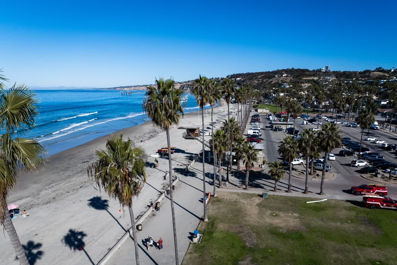 Low aerial view of the beach, palm trees and the ocean at La Jolla Shores, with people walking.