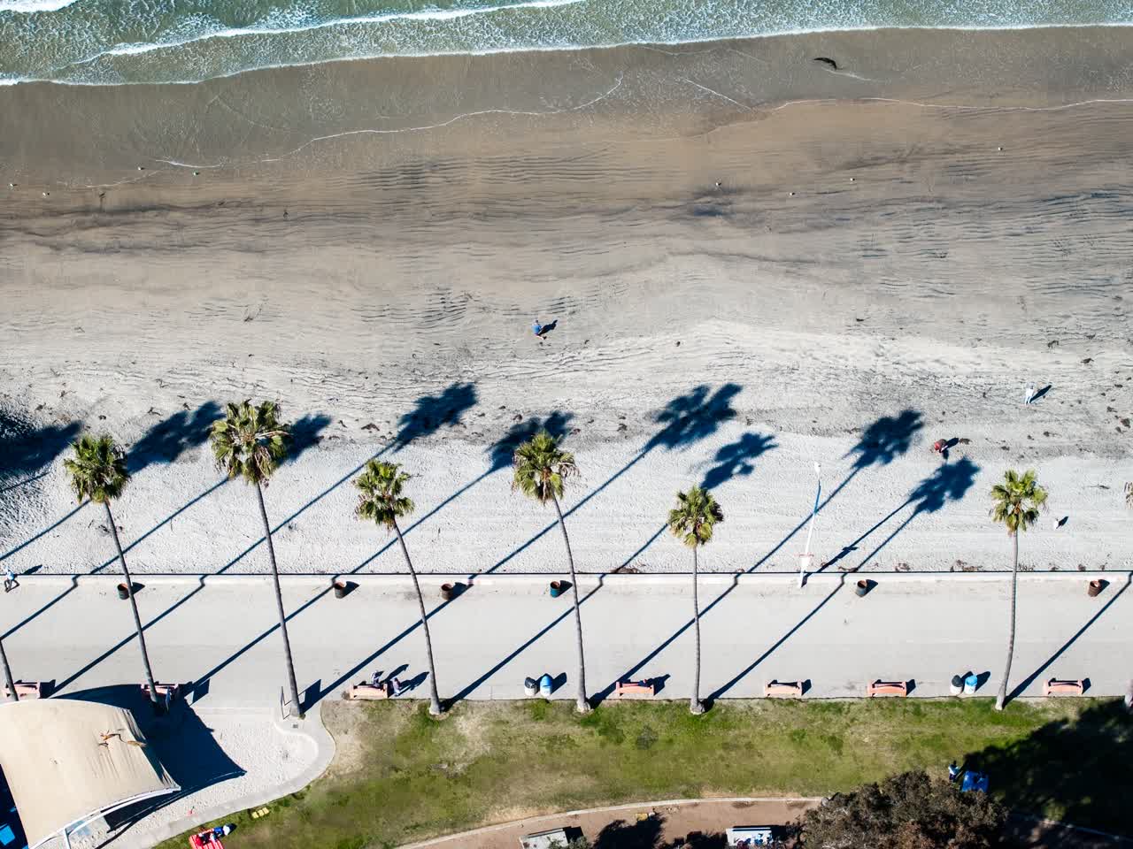 Aerial view of the beach, palm trees and the ocean at La Jolla Shores, with people walking.