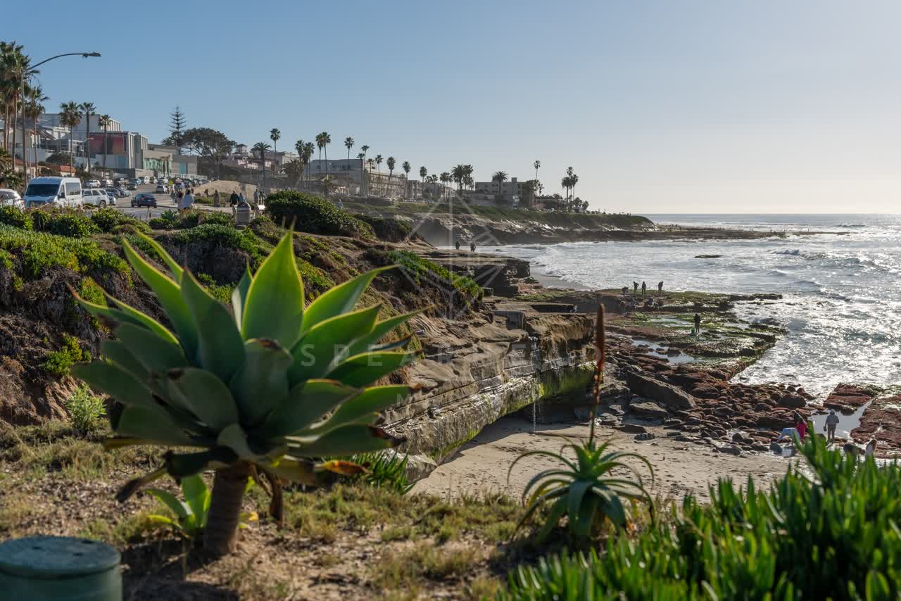 Elevated view of the cliffs, palm trees and the ocean at La Jolla Cove, with people walking.