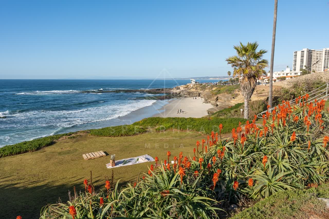 Elevated view of the cliffs, palm trees and the ocean at La Jolla Cove, with people walking.