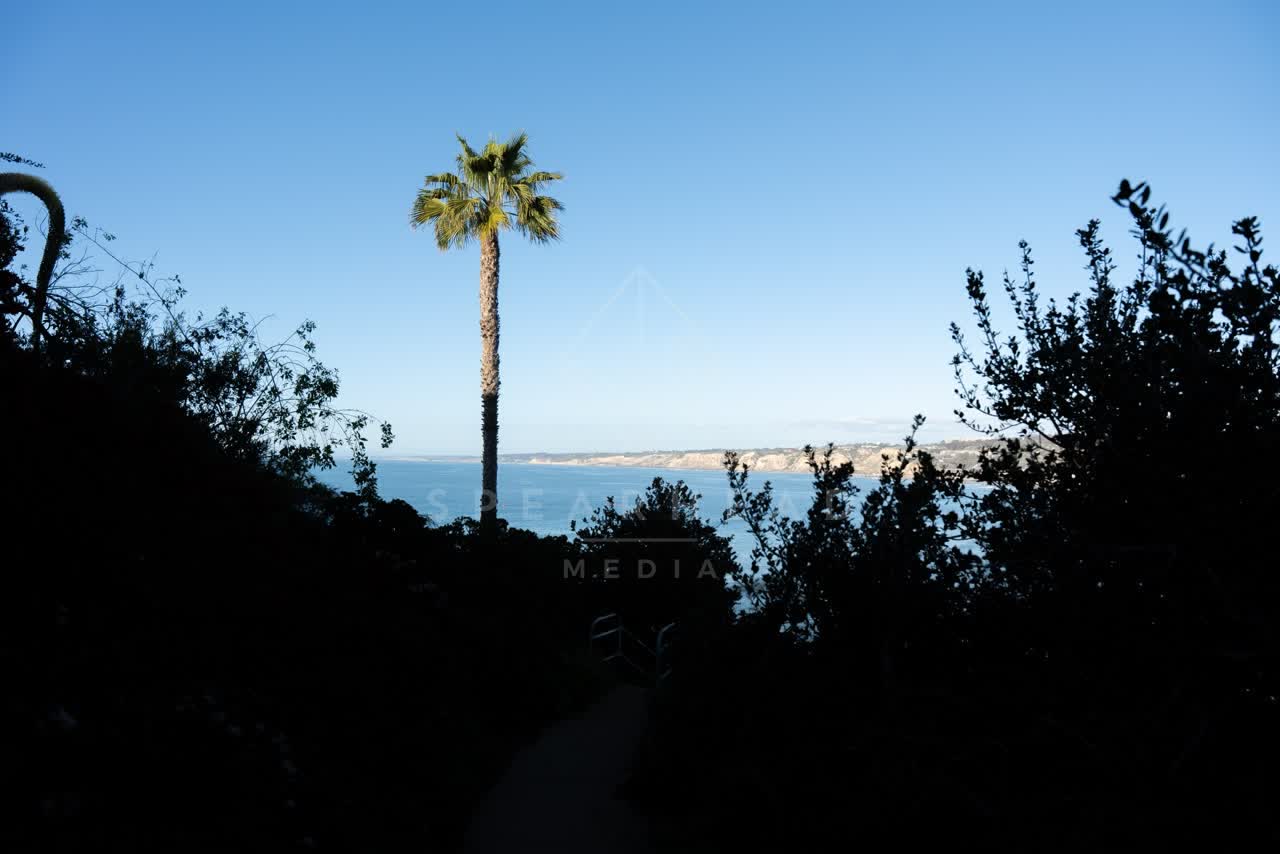 Elevated view of the cliffs, palm trees and the ocean at Coast Walk Trail.