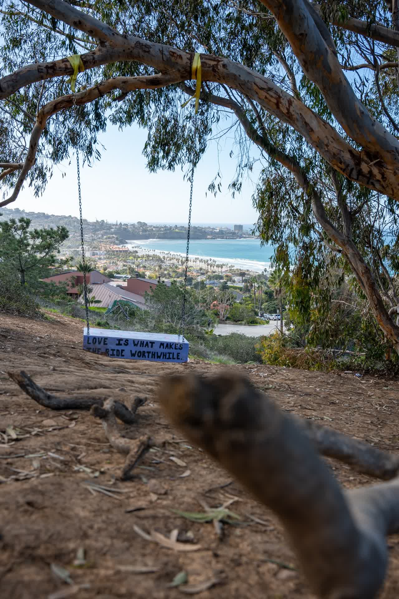 Elevated view of the cliffs, palm trees and the ocean at La Jolla Shores.