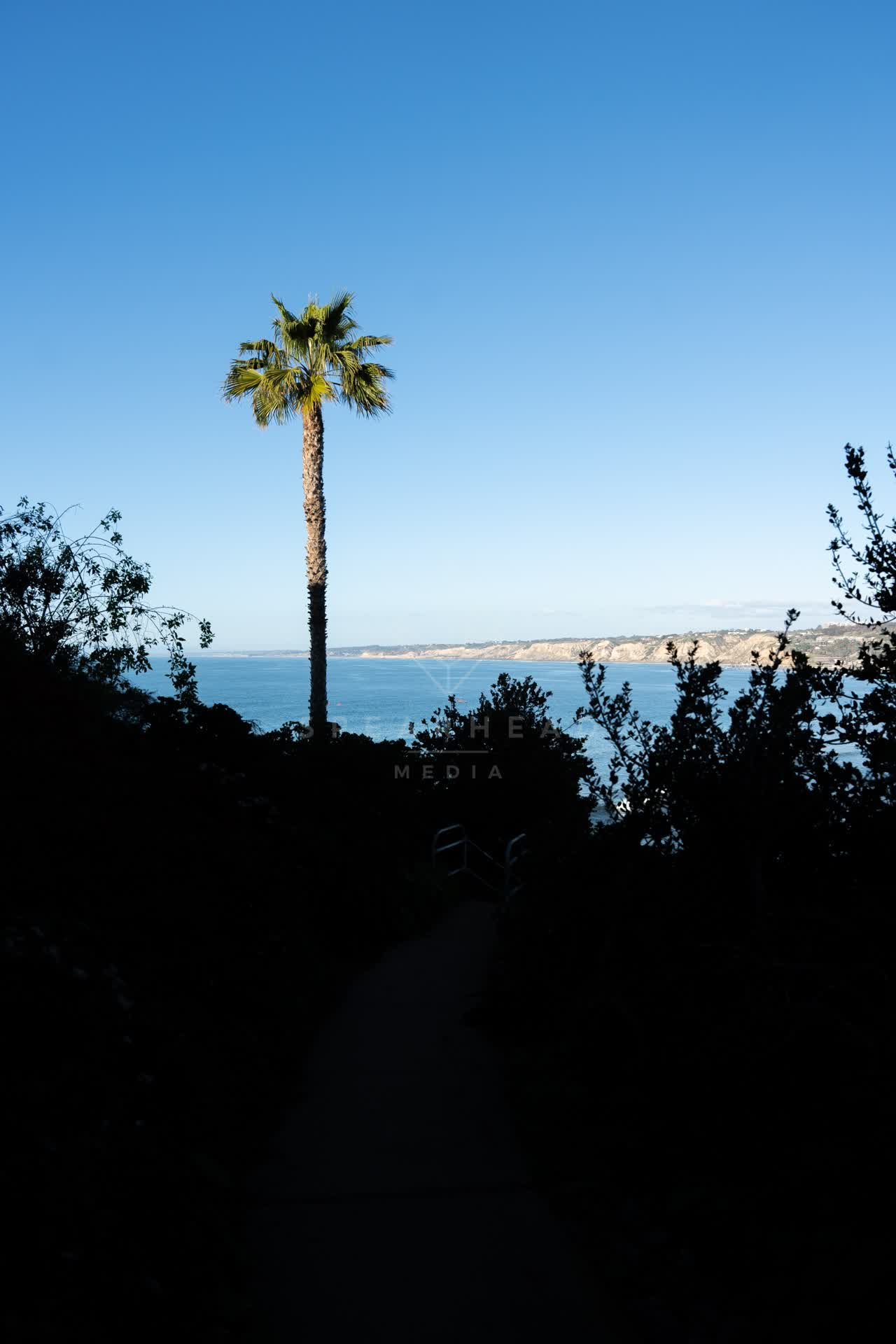 Elevated view of the cliffs, palm trees and the ocean at Coast Walk Trail.