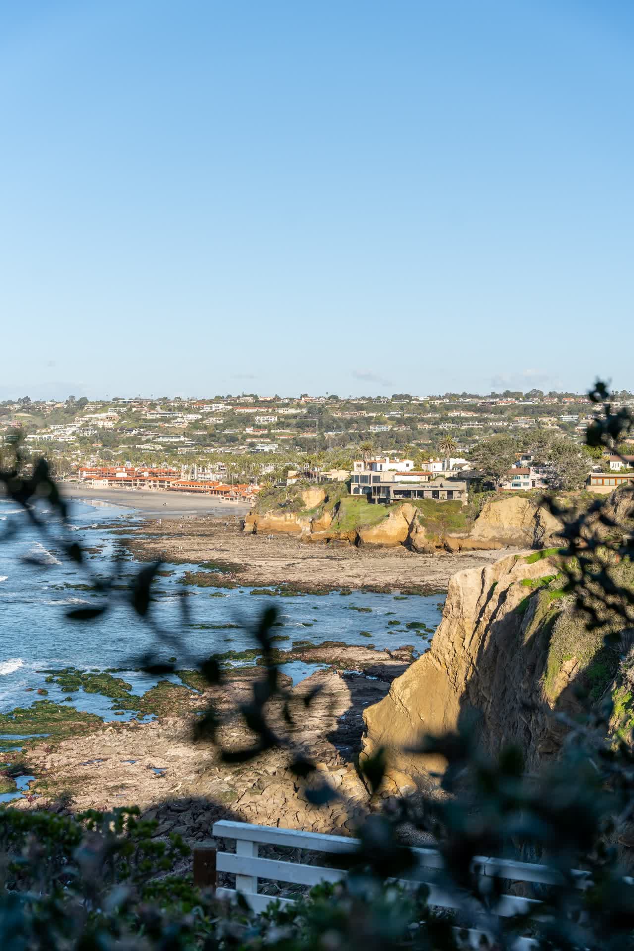 Elevated view of the cliffs, palm trees and the ocean at Coast Walk Trail.