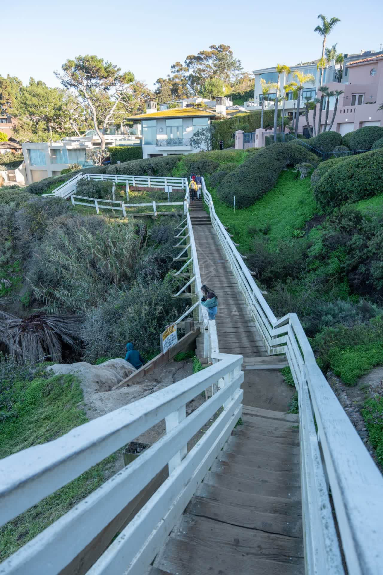 Elevated view of a residential street, palm trees and homes at Coast Walk Trail, with people walking.
