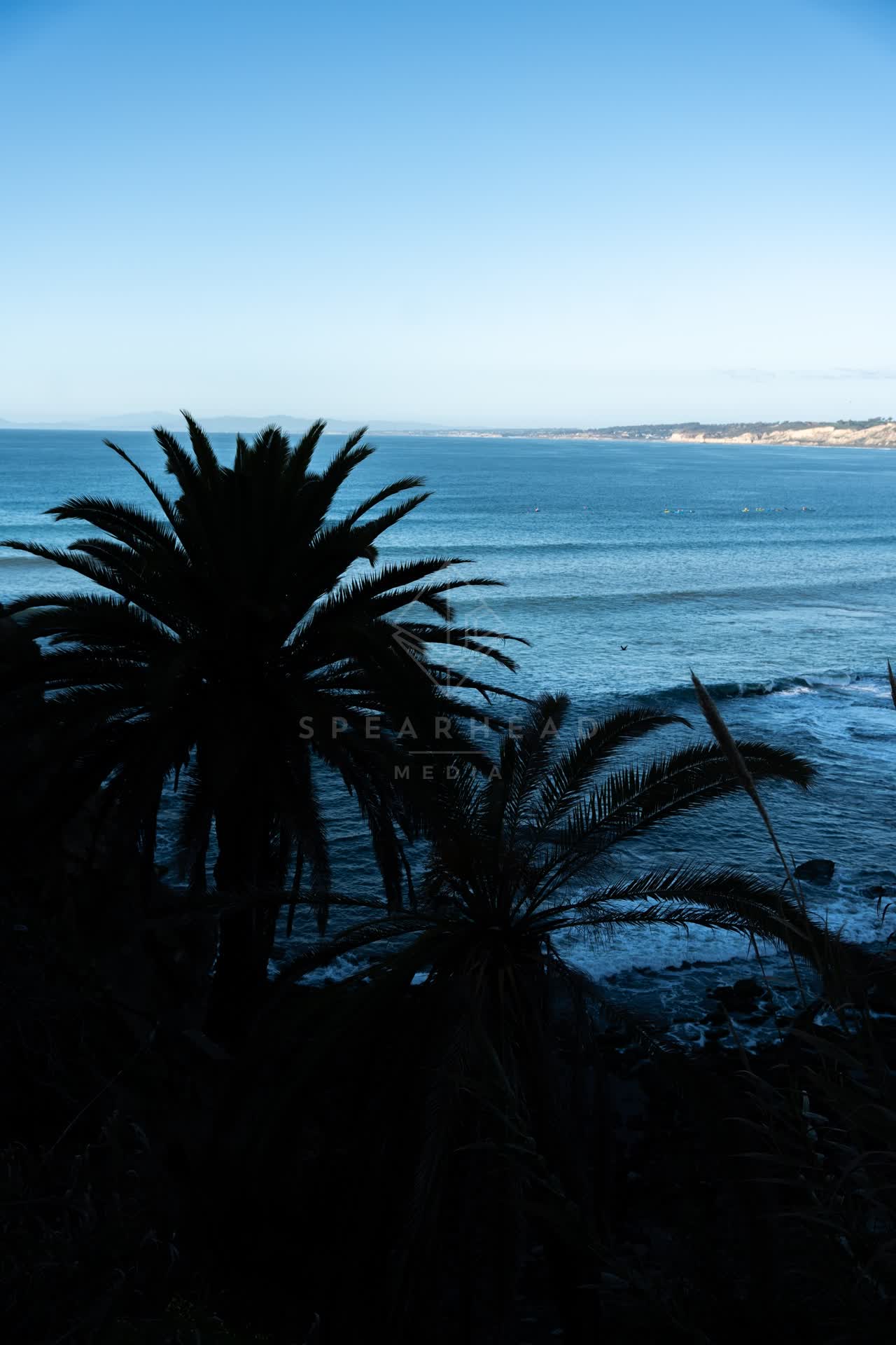 Elevated view of the cliffs, the surf and palm trees at Coast Walk Trail.