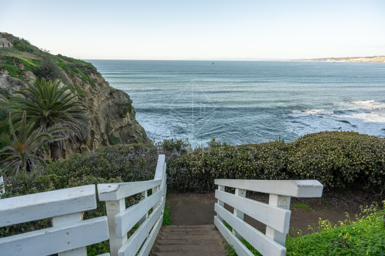 Elevated view of the cliffs, palm trees and the ocean at Coast Walk Trail.