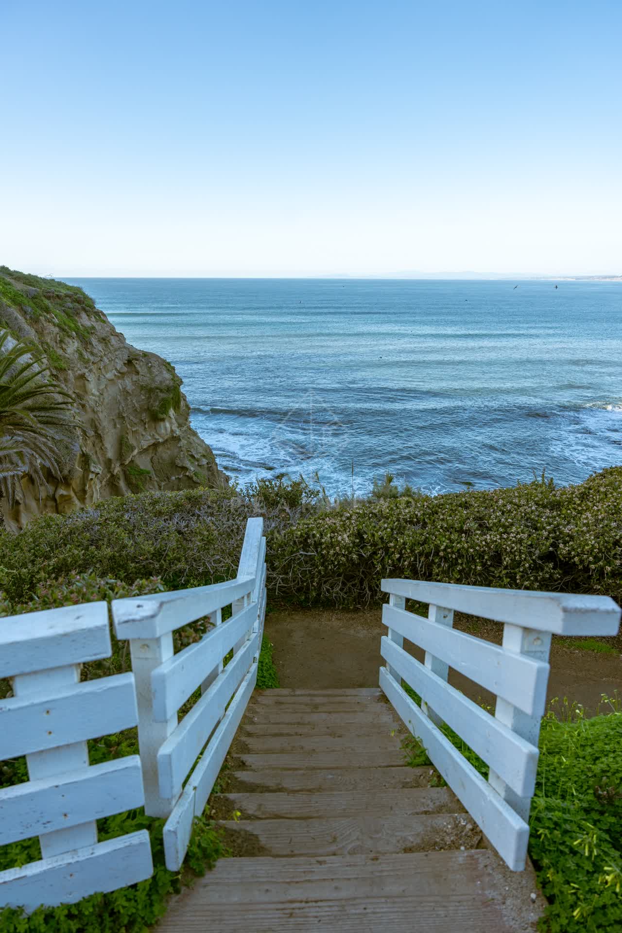 Elevated view of the cliffs, palm trees and the ocean at Coast Walk Trail.
