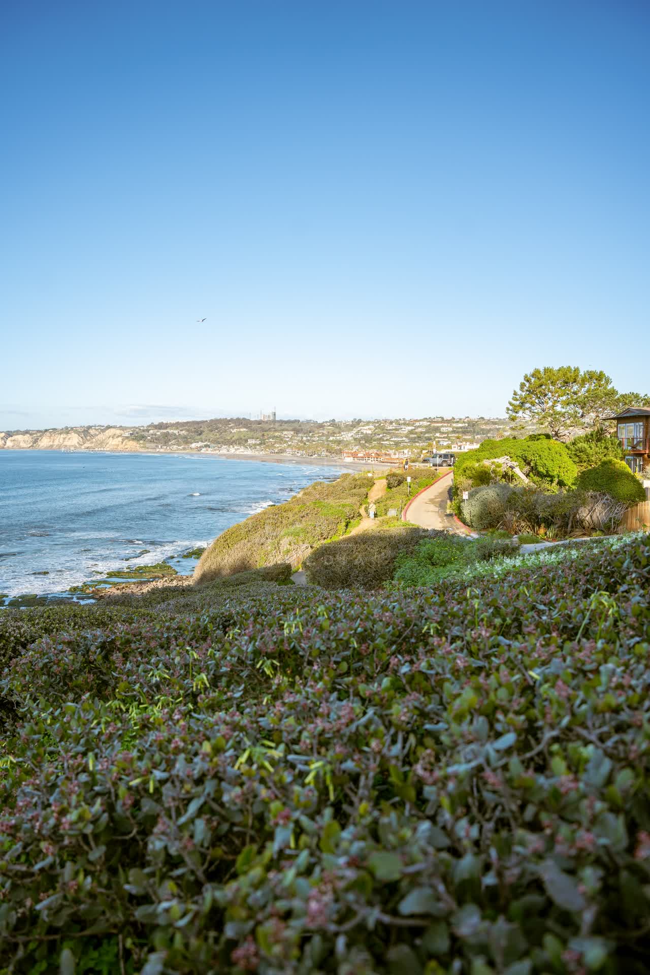 Elevated view of the cliffs, the ocean and homes at Coast Walk Trail.