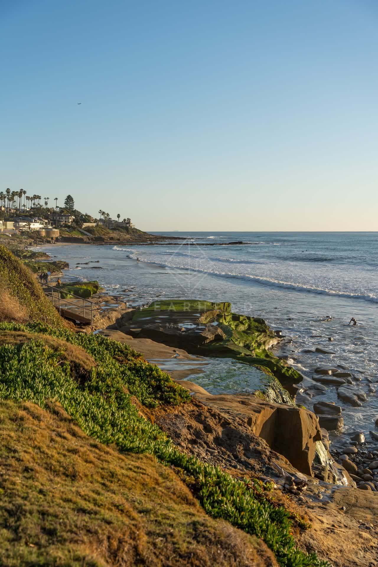 Elevated view of the cliffs, the surf and palm trees at Windansea, with surfers out.