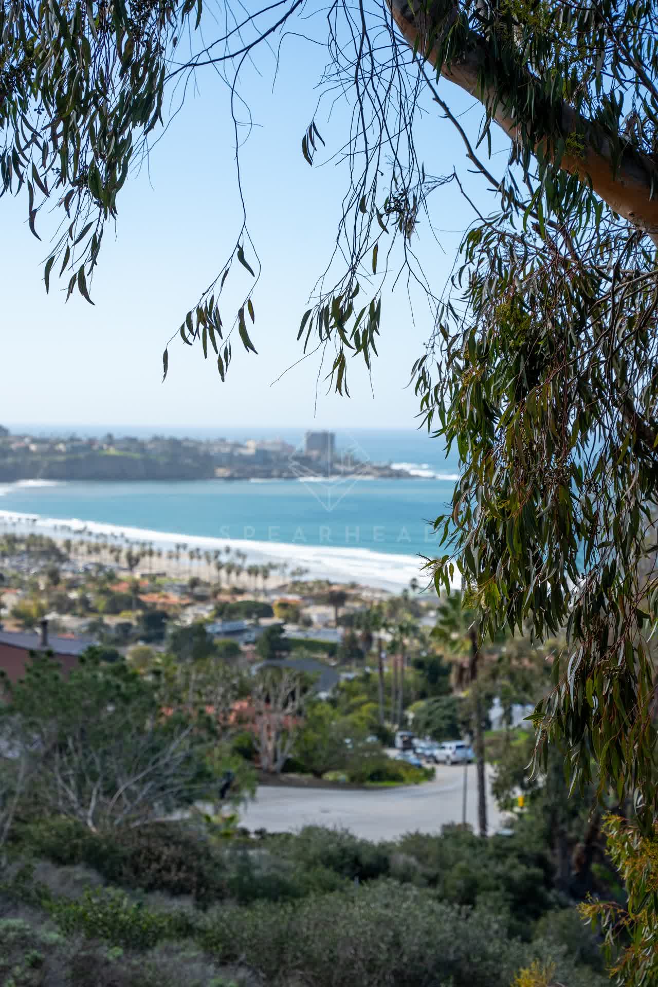 Elevated view of the cliffs, palm trees and the ocean at La Jolla Shores.