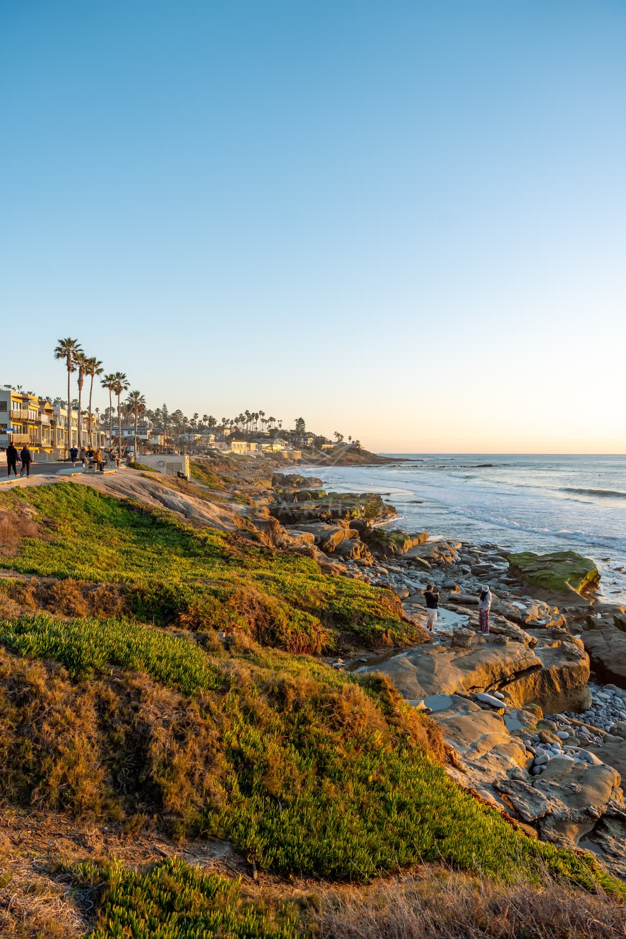 Elevated view of the cliffs, the surf and palm trees at Windansea, with people walking.