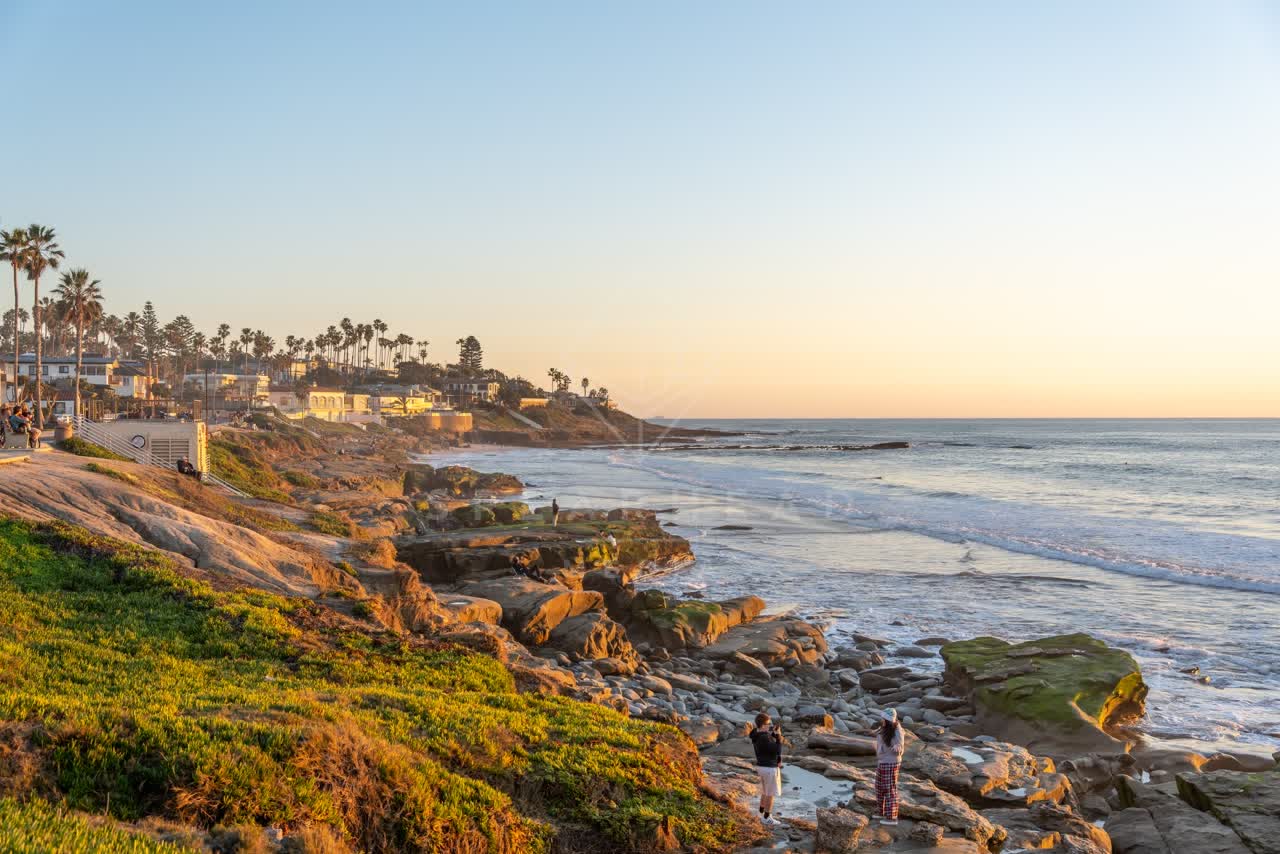 Elevated view of the cliffs, palm trees and the ocean at Windansea, with people walking.