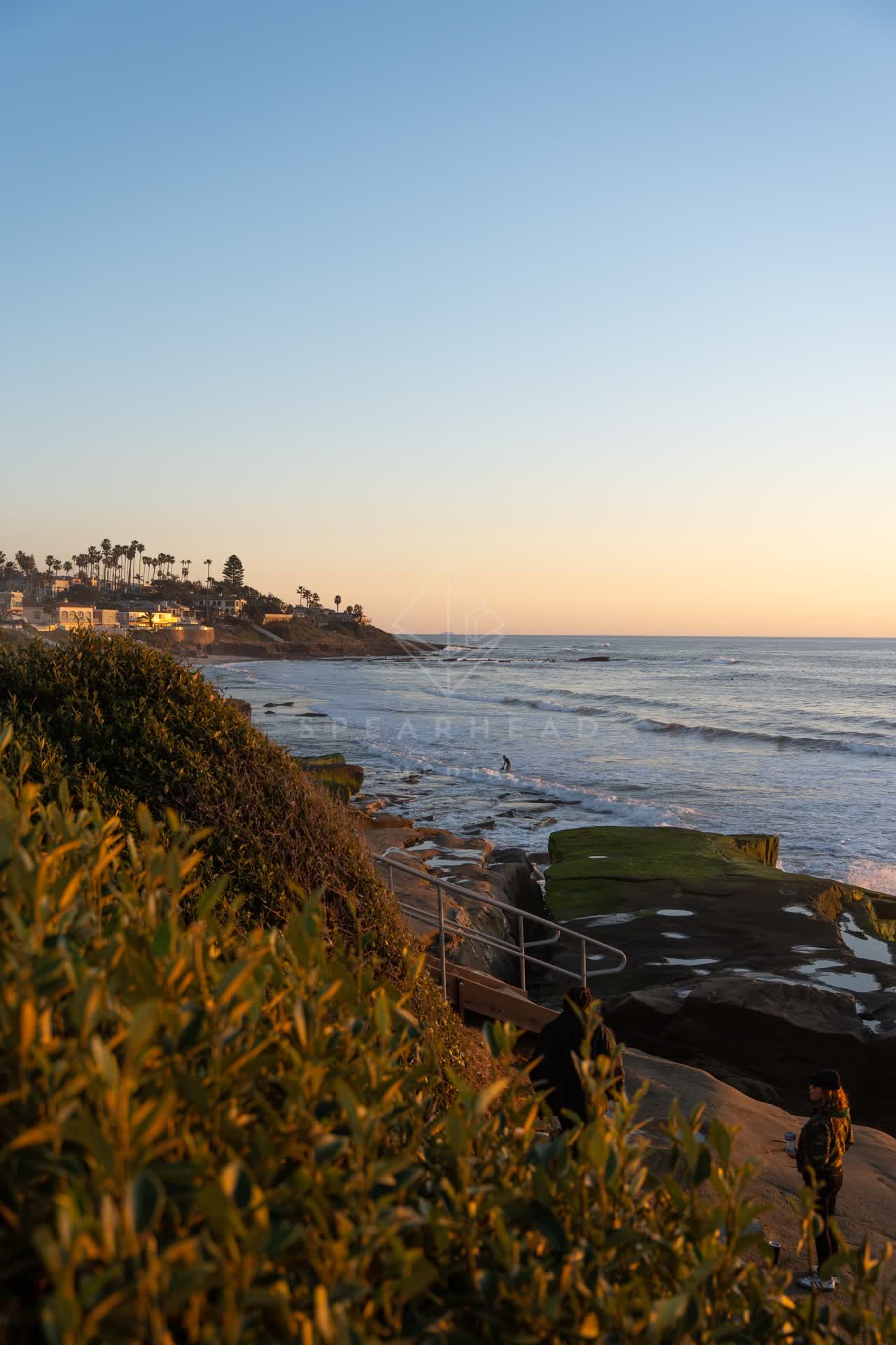 Elevated view of the cliffs, the surf and palm trees at Windansea, with surfers out.