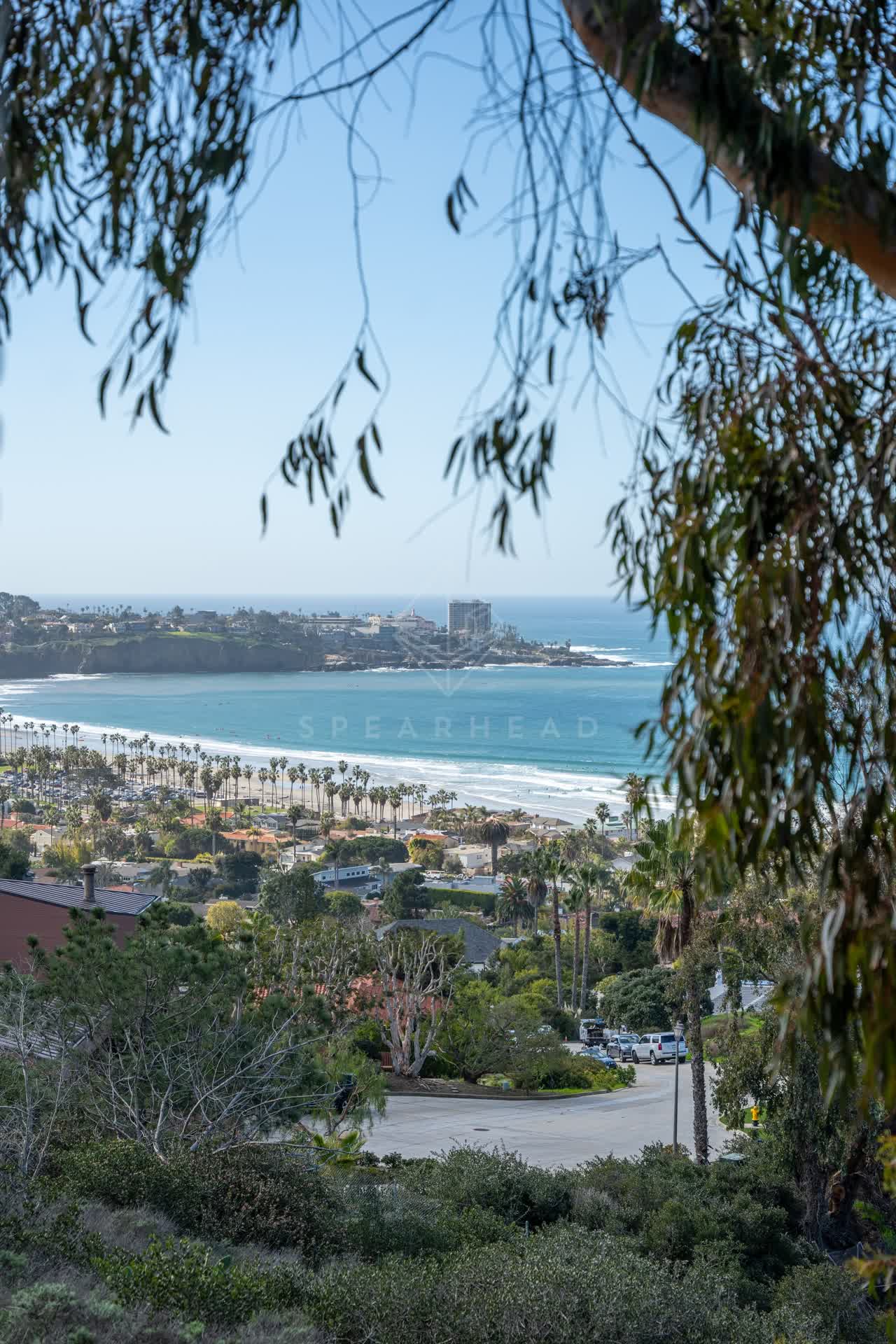 Elevated view of the cliffs, palm trees and the ocean at La Jolla Shores.