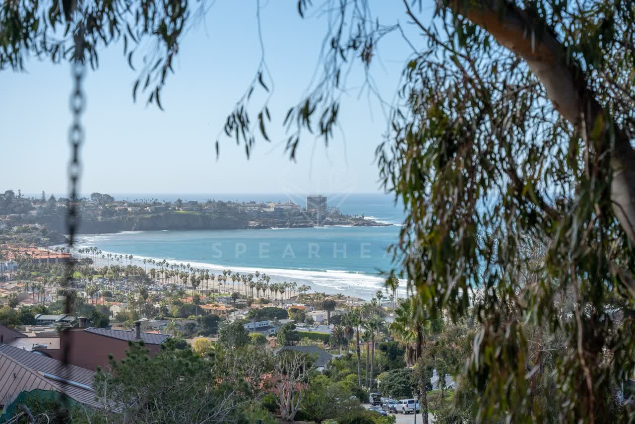 Elevated view of the cliffs, palm trees and the ocean at La Jolla Shores.