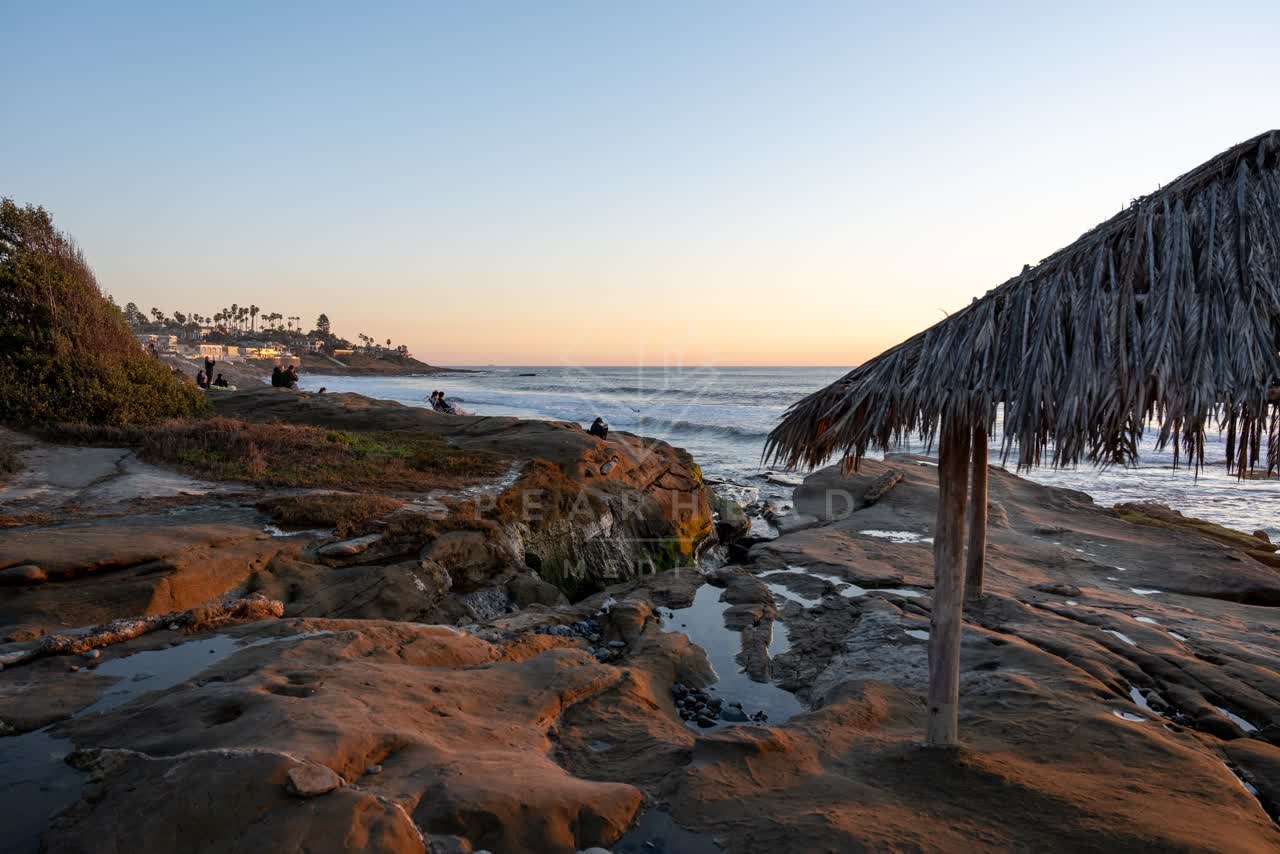 The cliffs, the surf and palm trees at Windansea.