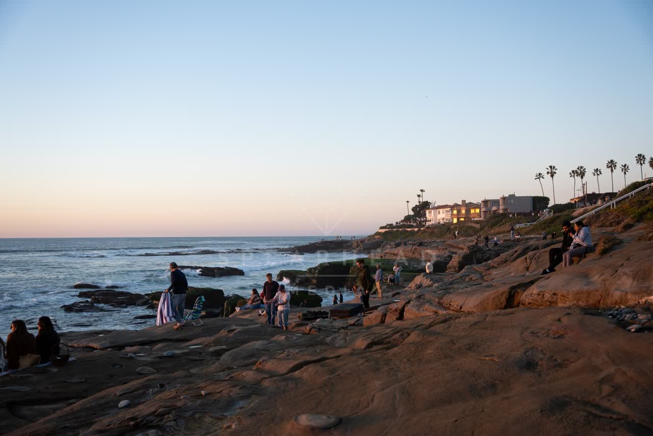 Elevated view of the cliffs, the surf and palm trees at Windansea, with a crowd gathered.